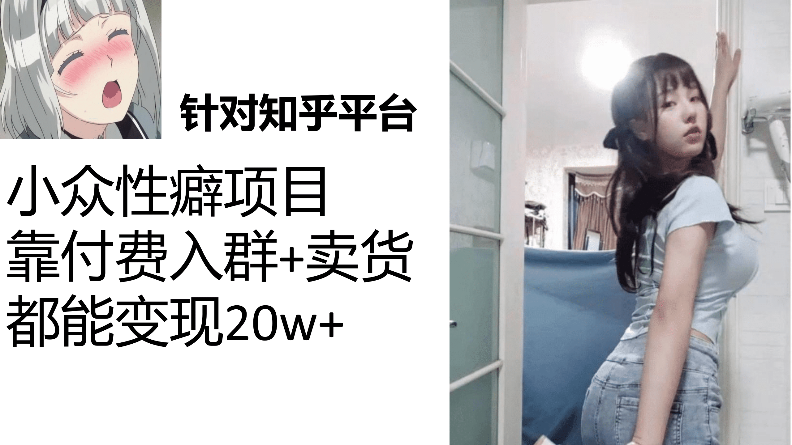 知乎小众性癖项目，Lsp的钱才是最好赚的，付费建群 卖货变现20w