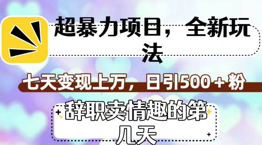 超暴利项目，全新玩法（辞职卖情趣的第几天），七天变现上万，日引500 粉