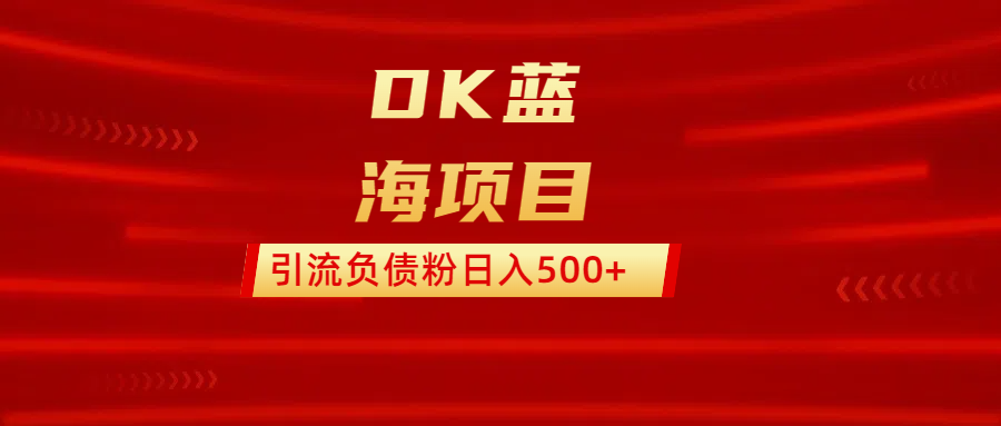 DK蓝海项目  通过，抖音，快手，小红书，引流负债粉日入500+