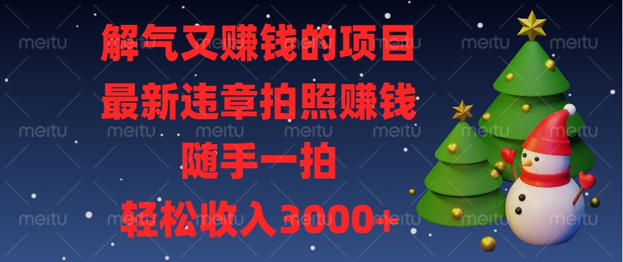 解气又赚钱的项目，最新违章拍照赚钱，随手一拍，轻松收入3000+